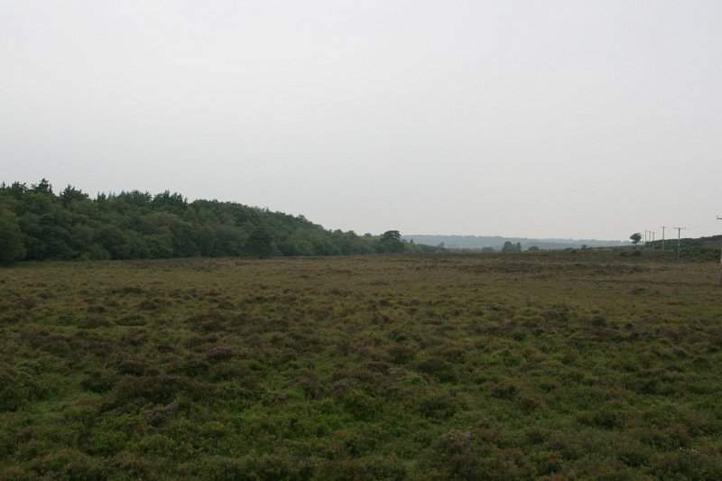 Engeland zuiden (o.a. Stonehenge) - 086